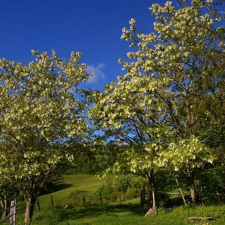 Casa de Férias L'appel De La Forêt *