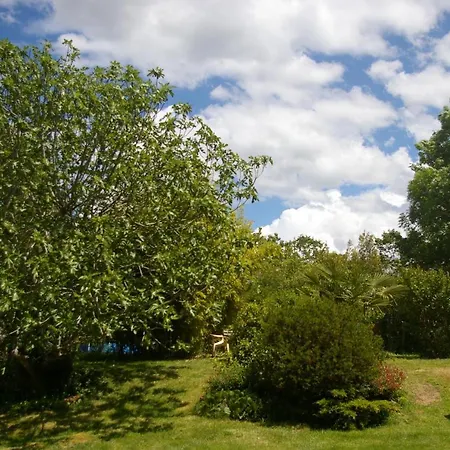 Casa de Férias L'appel De La Forêt