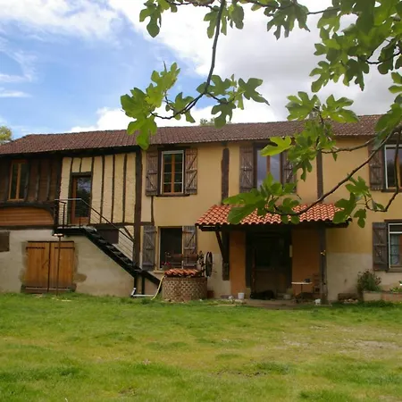 L'appel De La Foret Nyaraló Betplan