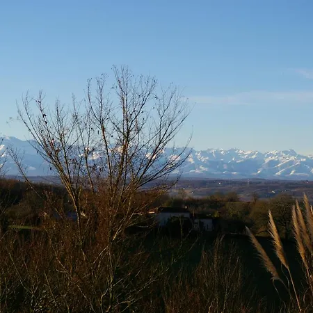 L'appel De La Foret * Betplan