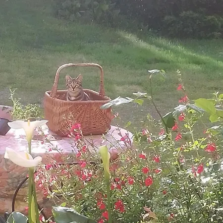 L'appel De La Foret Feriehus